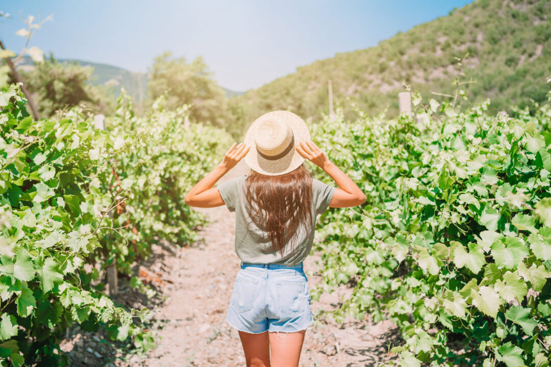 image shows woman with sun hat standing in a vineyard.