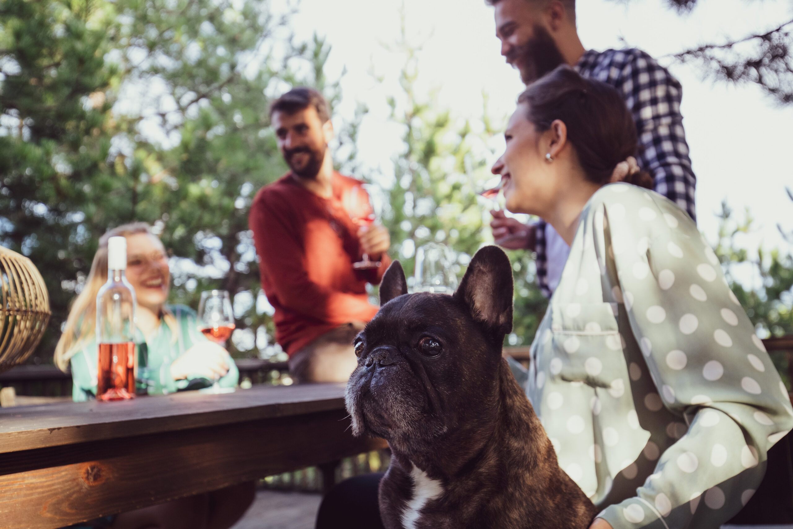 An image depicting four friends drinking wine on the balcony and having lots of fun together. A cute french bulldog is also enjoying the afternoon with them.